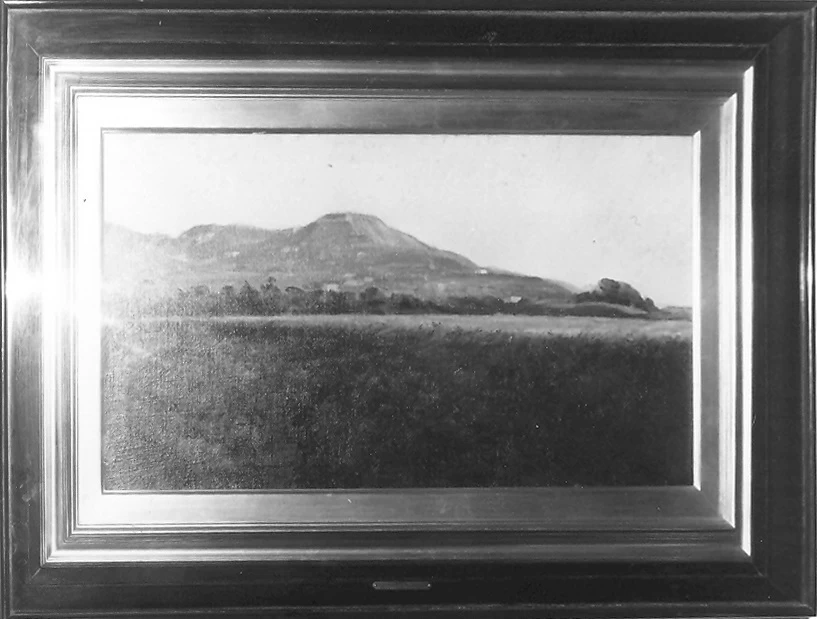 Paesaggio - Jesi, Ancona